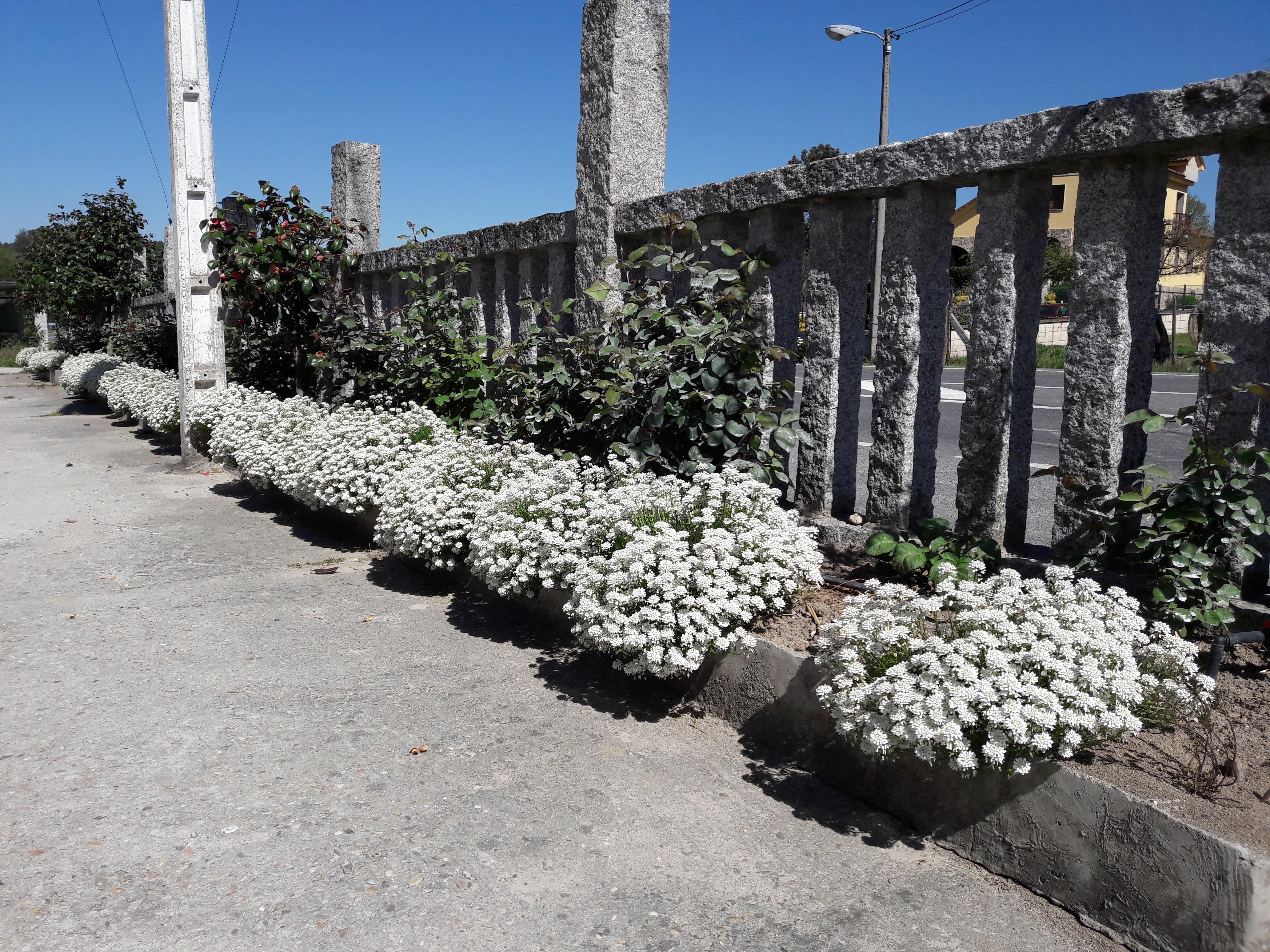 Hostal Sequeiros San Ciprián de Viñas المظهر الخارجي الصورة